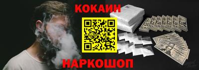 спайс Кингисепп