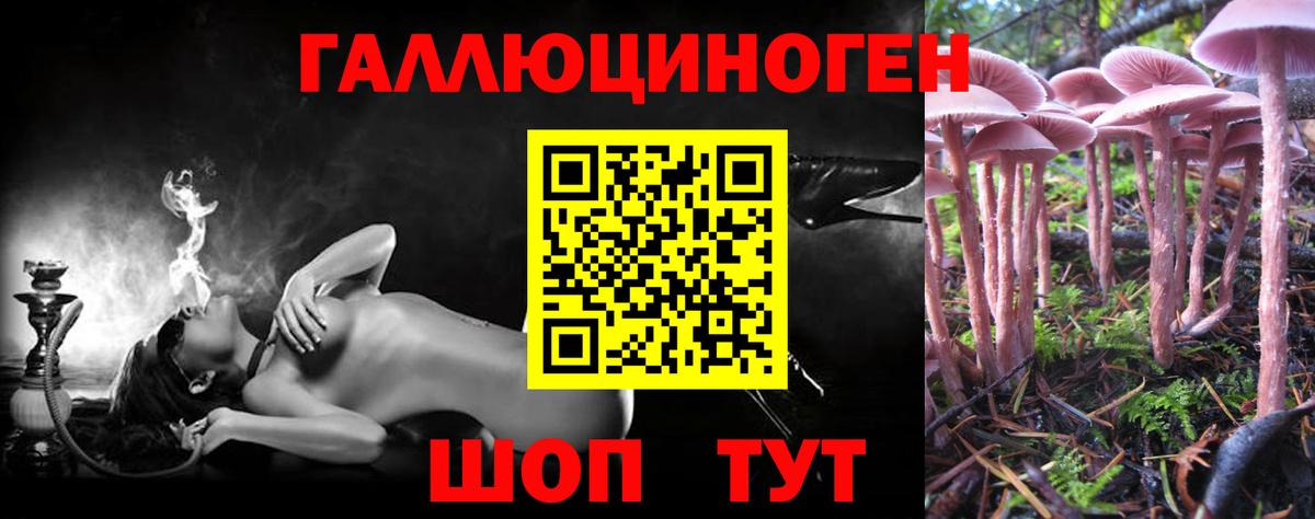 Псилоцибиновые грибы Cubensis Кудымкар
